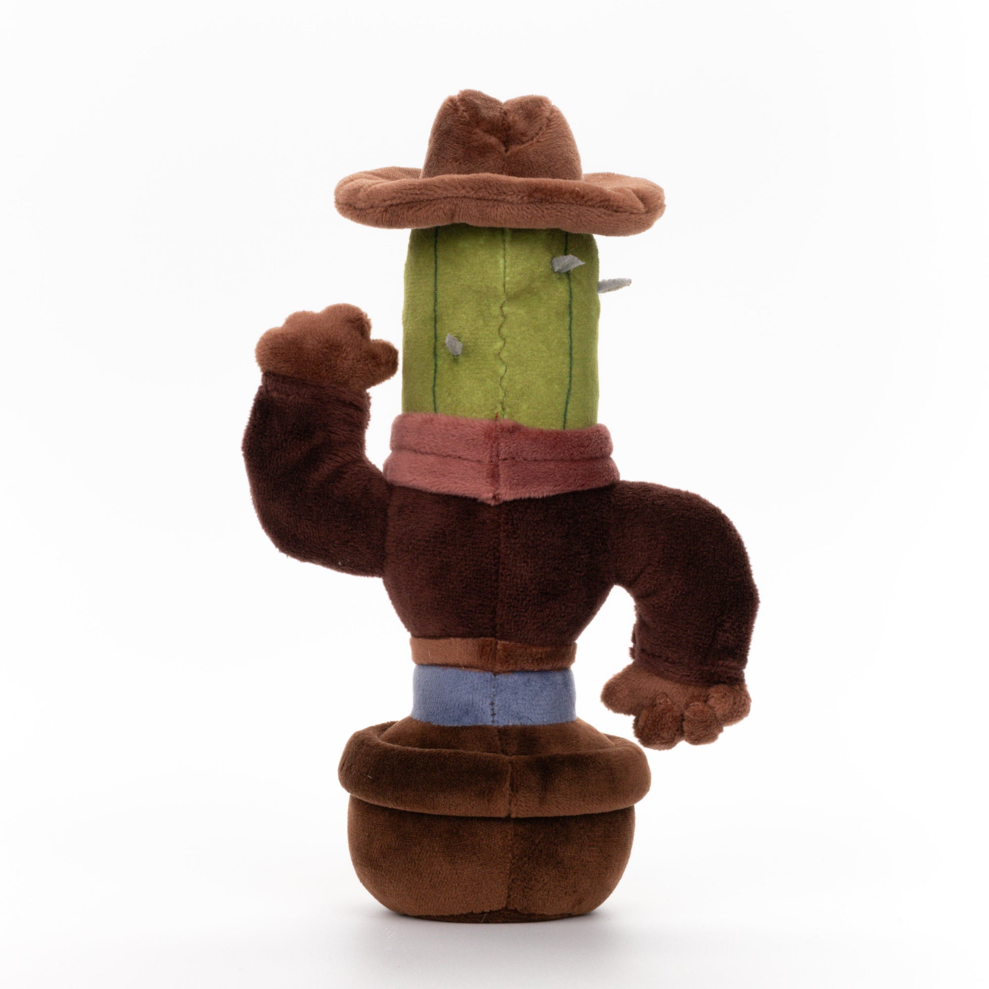 Cactus Cowboy