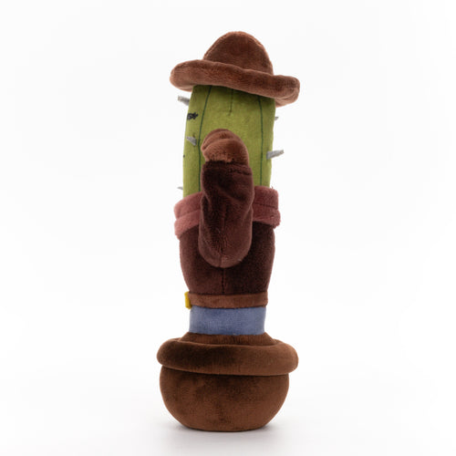 Cactus Cowboy