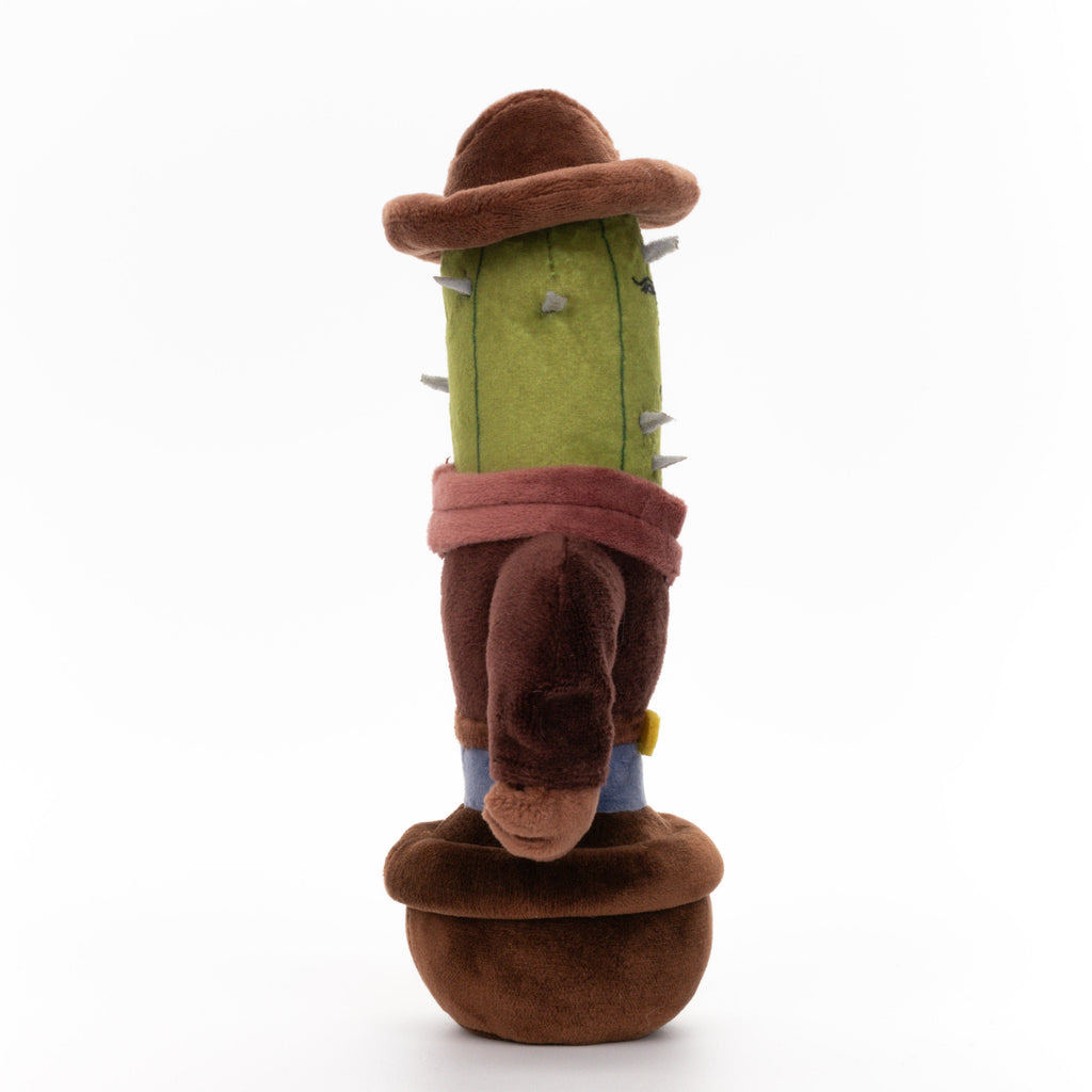 Cactus Cowboy