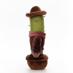 Cactus Cowboy