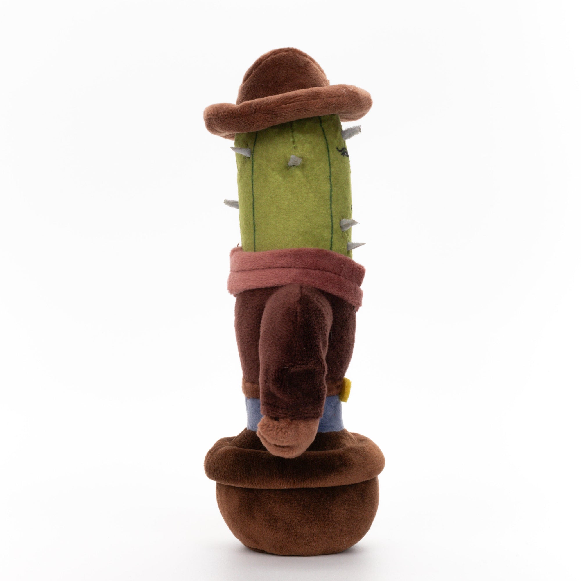 Cactus Cowboy